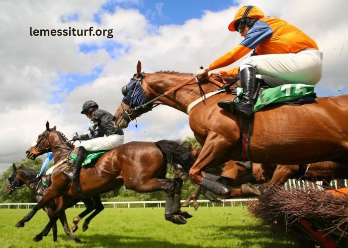 Arriver Du Jour in Horse Betting – Guide for Beginners
