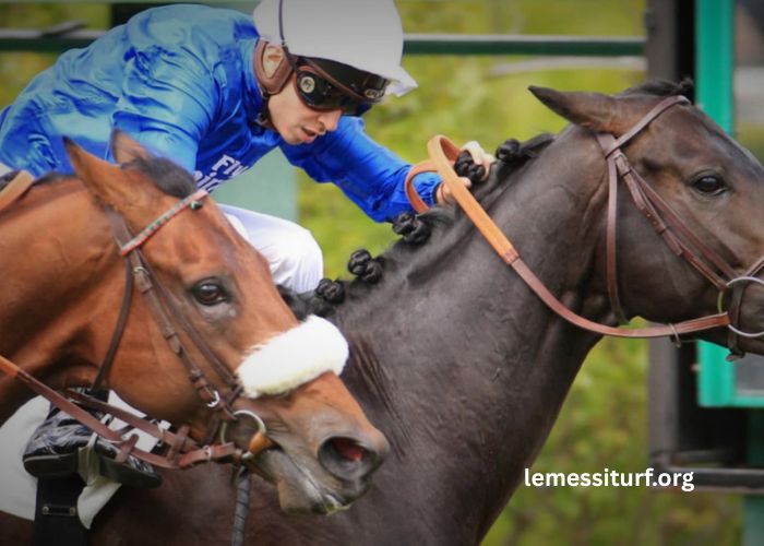 Cheval Coup Sur Du Jour – Your Trusted Tip for PMU Today