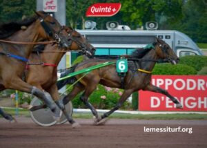 France Turf Vip – Your Trusted Free Predictions from Turf FR