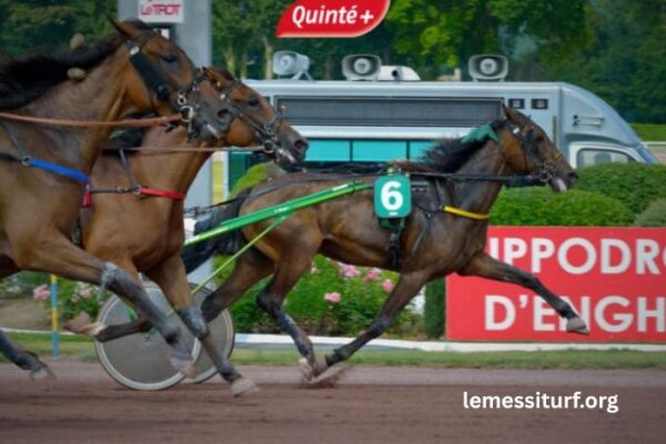 France Turf Vip – Your Trusted Free Predictions from Turf FR