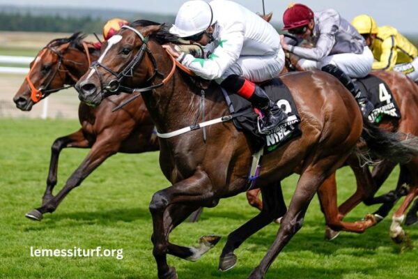 Indice DE Forme – Best Horses in Quinté+ Race