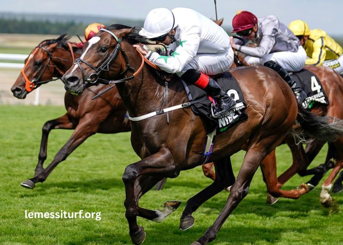 Indice DE Forme – Best Horses in Quinté+ Race