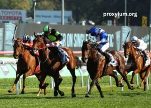 Le Boss Turf – The Best Horse Racing Betting Guide for 2024