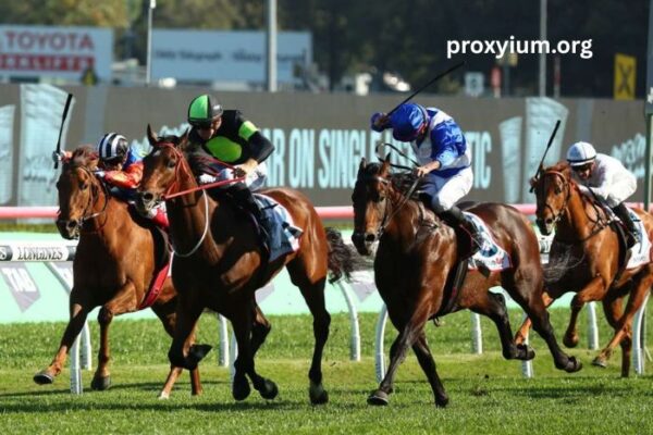 Le Boss Turf – The Best Horse Racing Betting Guide for 2024