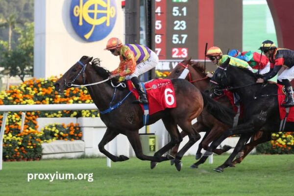 Mon Trio Turf – Get Help from the Horse Racing Experts Mon Trio Turf – Get Help from the Horse Racing Experts