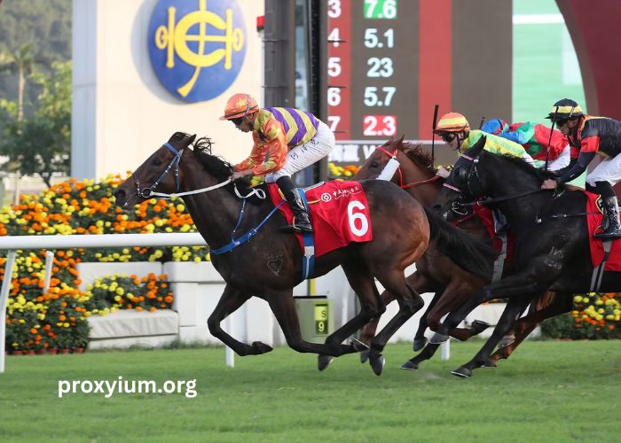 Mon Trio Turf – Get Help from the Horse Racing Experts