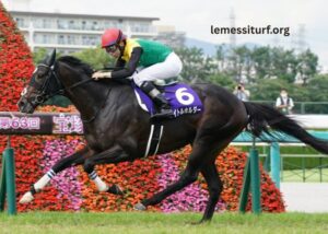 Zetop Trio Gagnant: Wins Your Horse Betting