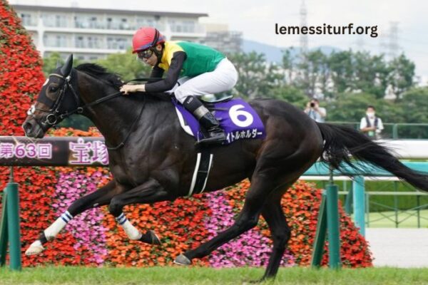 Zetop Trio Gagnant: Wins Your Horse Betting